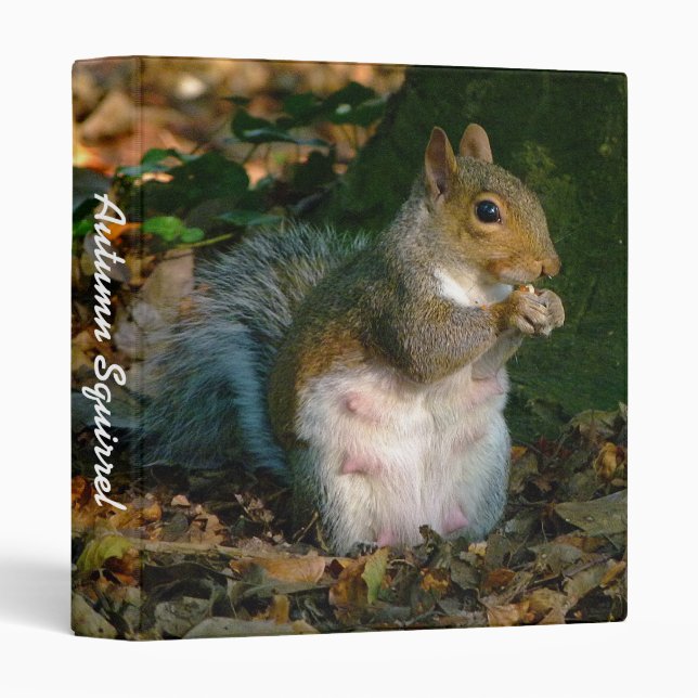 Autumn Squirrel (1in) Binder (Front/Spine)