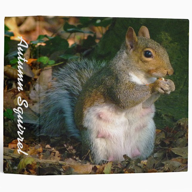Autumn Squirrel (2in) Binder (Front/Spine)