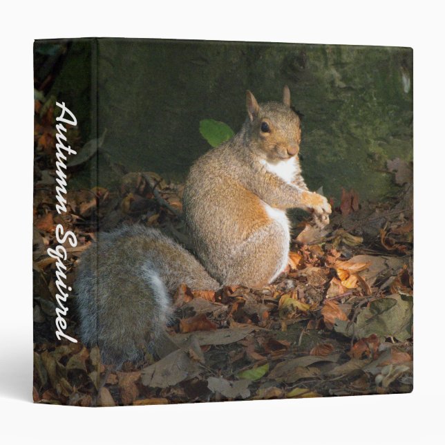 Autumn Squirrel II (1.5in) Binder (Front/Spine)