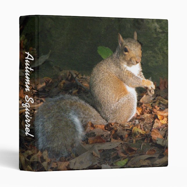 Autumn Squirrel II (1in) Binder (Front/Spine)