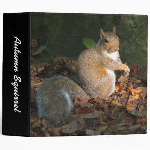 Autumn Squirrel II (2in) Binder