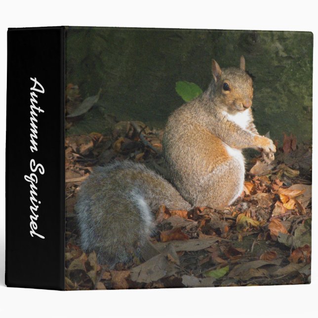 Autumn Squirrel II (2in) Binder (Front/Spine)