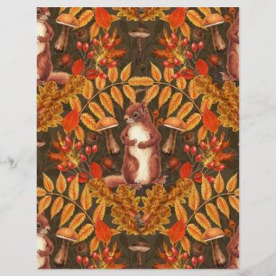 Autumn squirrel on dark brown