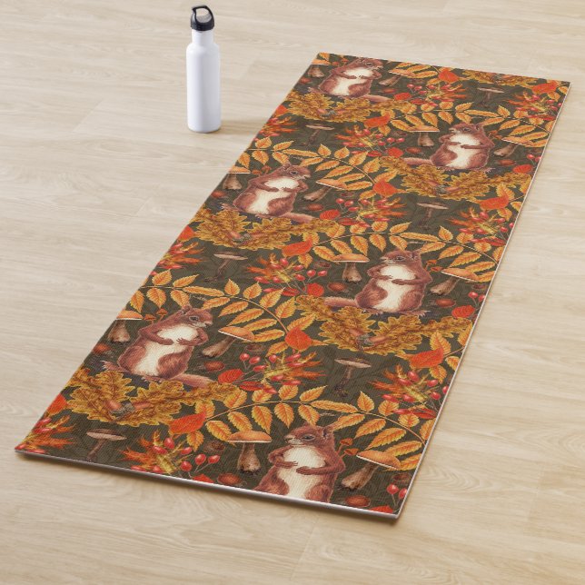 Autumn squirrel on dark brown yoga mat (In Situ)