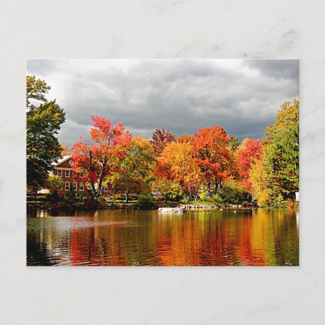 Autumn Storm Coming Postcard (Front)