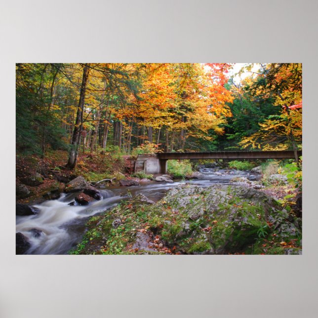 Autumn Stream Poster (Front)