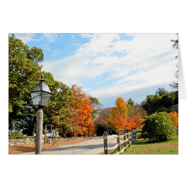 AUTUMN, SUDBURY, MA (Front Horizontal)