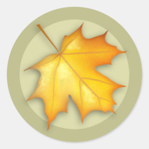 Autumn Sugar Maple Leaf Round Sticker