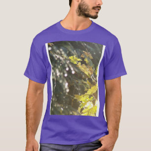 Autumn Sun Rays 53 T-Shirt