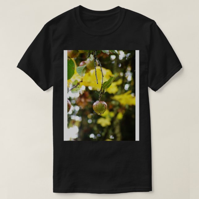 Autumn Sun rays 9 raindrops on apple T-Shirt (Design Front)