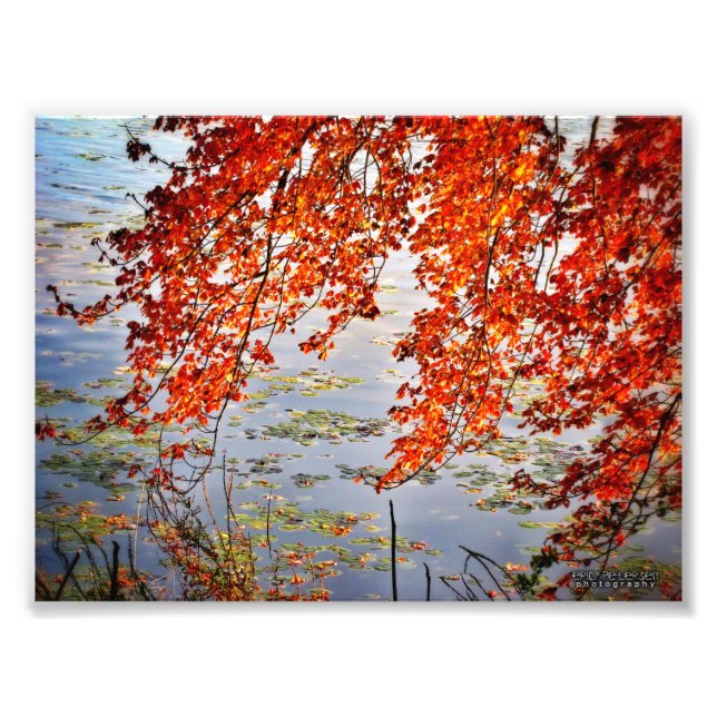 Autumn Sunlight #2 Photo Print (Front)