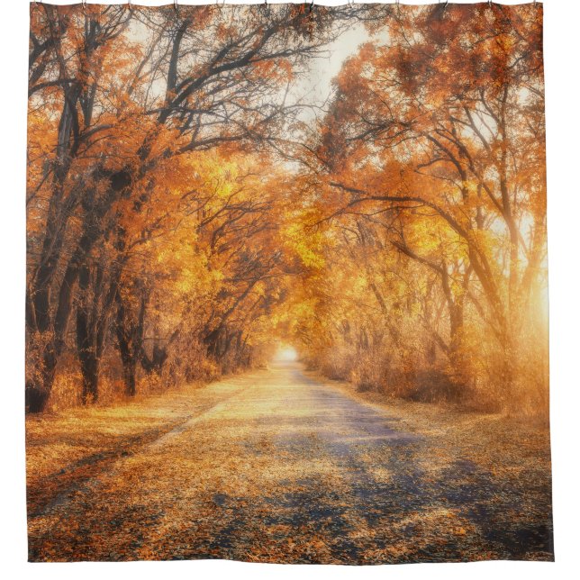 Autumn Sunset: Forest Road Scenery. (Front)