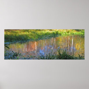 Autumn Swamp Reflections Poster