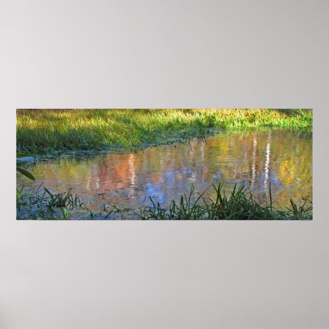 Autumn Swamp Reflections Poster (Front)