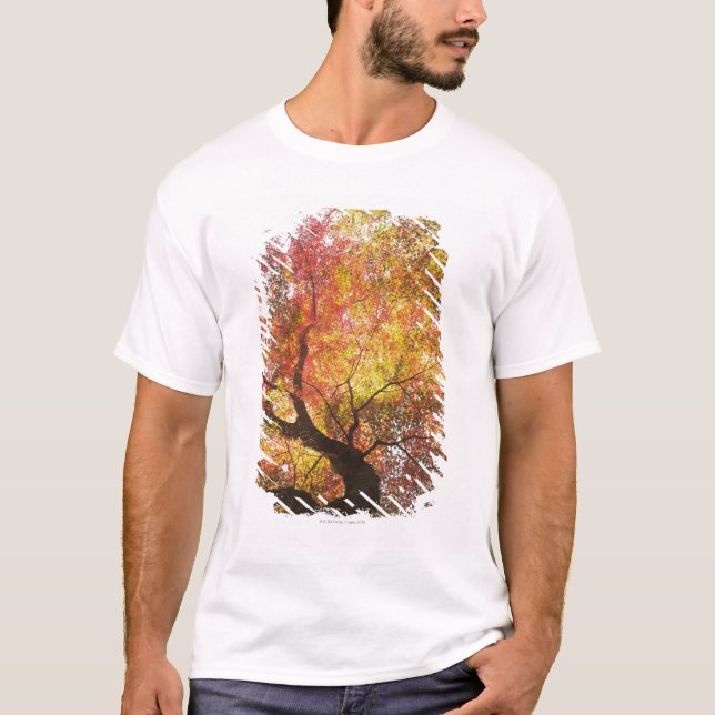 Autumn T-Shirt (Front)
