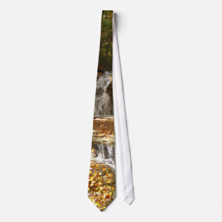 Autumn tie