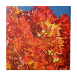 Autumn Tiles Art Orange Fall Tree Leaves Art