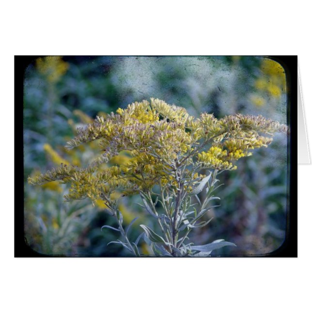 Autumn Time Flowers (Front Horizontal)