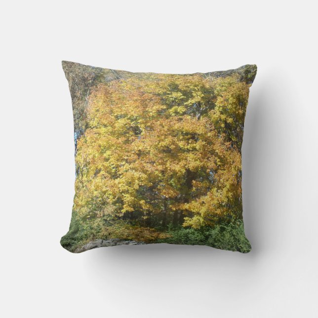 Autumn time throw pillow (Front)