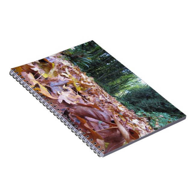 "Autumn Trail" Photo Notebook (80 Pages B&W) (Right Side)