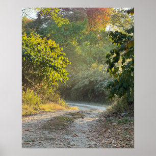 Autumn Trail Photo Poster