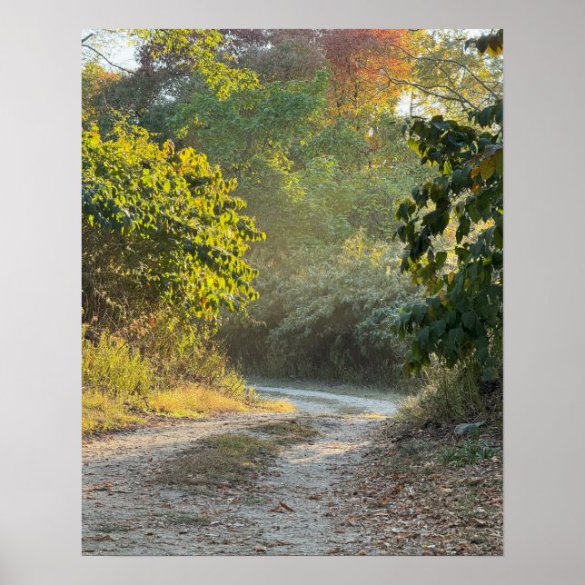 Autumn Trail Photo Poster (Front)