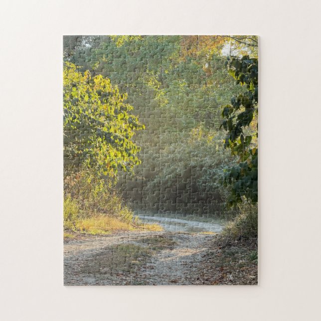 Autumn Trail Photo Puzzle (Vertical)