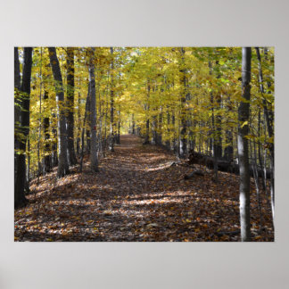 AUTUMN TRAIL. POSTER