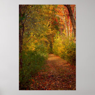 Autumn  Trail Print