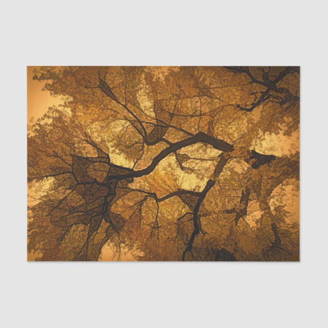 Autumn Tree Amber Orange Brown Leaves Sunset Tissue Paper (Front)