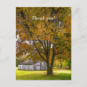 Autumn Tree And Barn Painterly Thank You Postcard