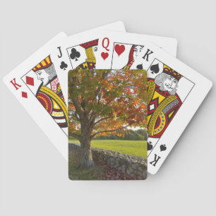 Autumn Tree at Stone Wall Playing Cards