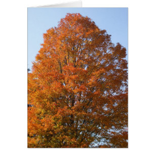 Autumn Tree-Blank Card