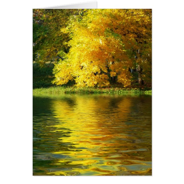 Autumn tree in the forest with reflection (Front)