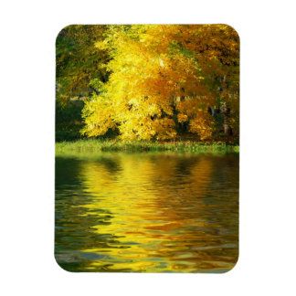 Autumn tree in the forest with reflection magnet