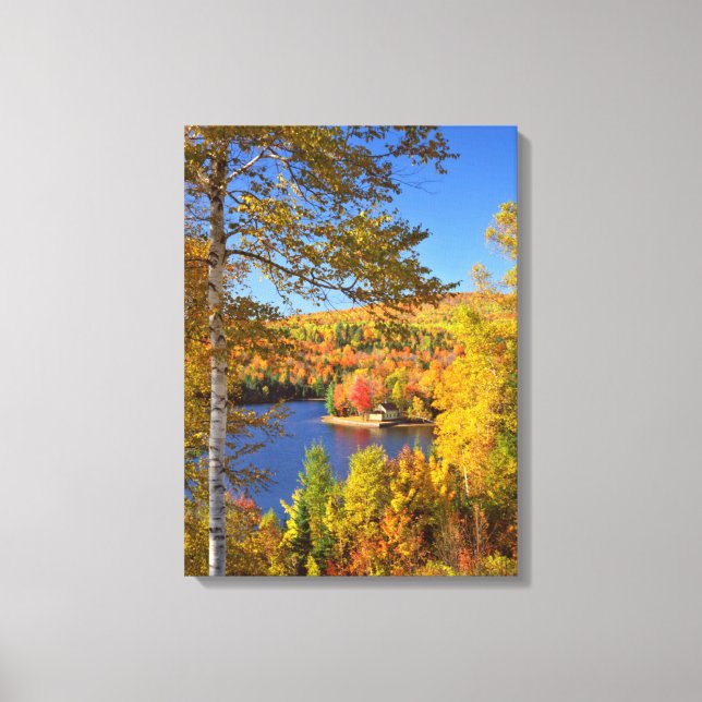 Autumn tree landscape, Maine Canvas Print (Front)