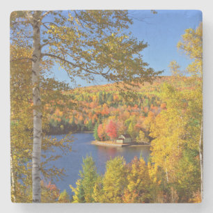 Autumn tree landscape, Maine Stone Coaster
