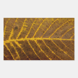 autumn tree leaf texture pattern background nature sticker