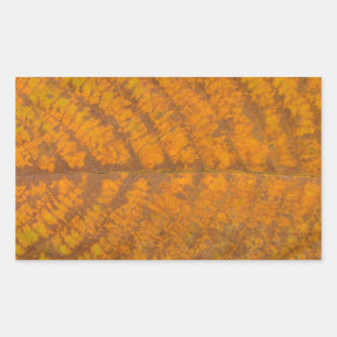 autumn tree leaf texture pattern background nature sticker