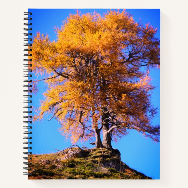Autumn Tree Notebook (Front)