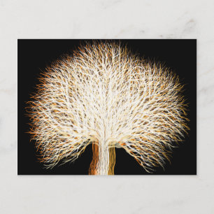 Autumn Tree Postcard