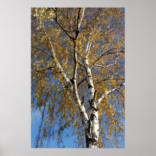 Autumn tree poster