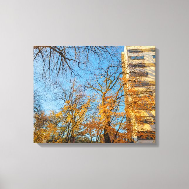 Autumn Trees and Building Facade Canvas Print (Front)