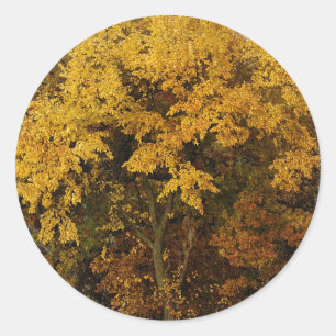 Autumn Trees Classic Round Sticker