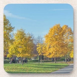 Autumn trees hard plastic coasters