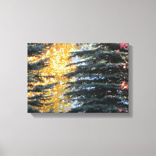 Autumn Trees in Whistler, B.C. Canvas Print