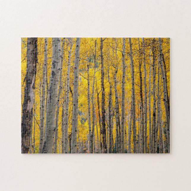 Autumn Trees Jigsaw Puzzle (Horizontal)