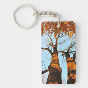 Autumn trees keychain