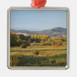 Autumn Trees, Khancoban, Snowy Mountains, New Metal Ornament