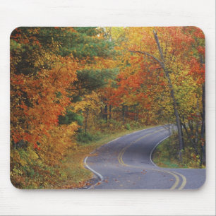 Autumn trees line roadway in Itasca State Park Mouse Pad